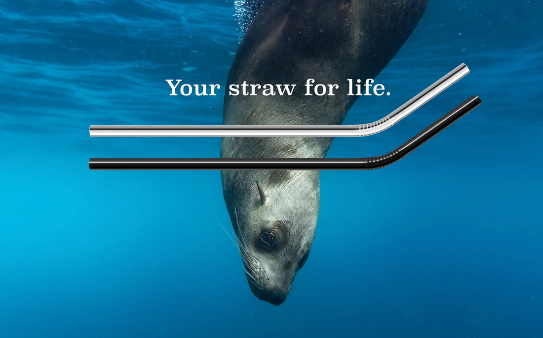 Zero Waste Living: Your Essential Guide to Building an Eco-Friendly Toolkit and Lifestyle | Verte Mode