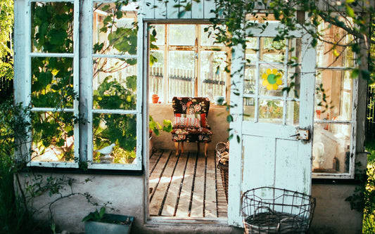 10 Quick and Easy Sustainable Swaps for Low-Waste Eco Friendly Home | VERTE MODE
