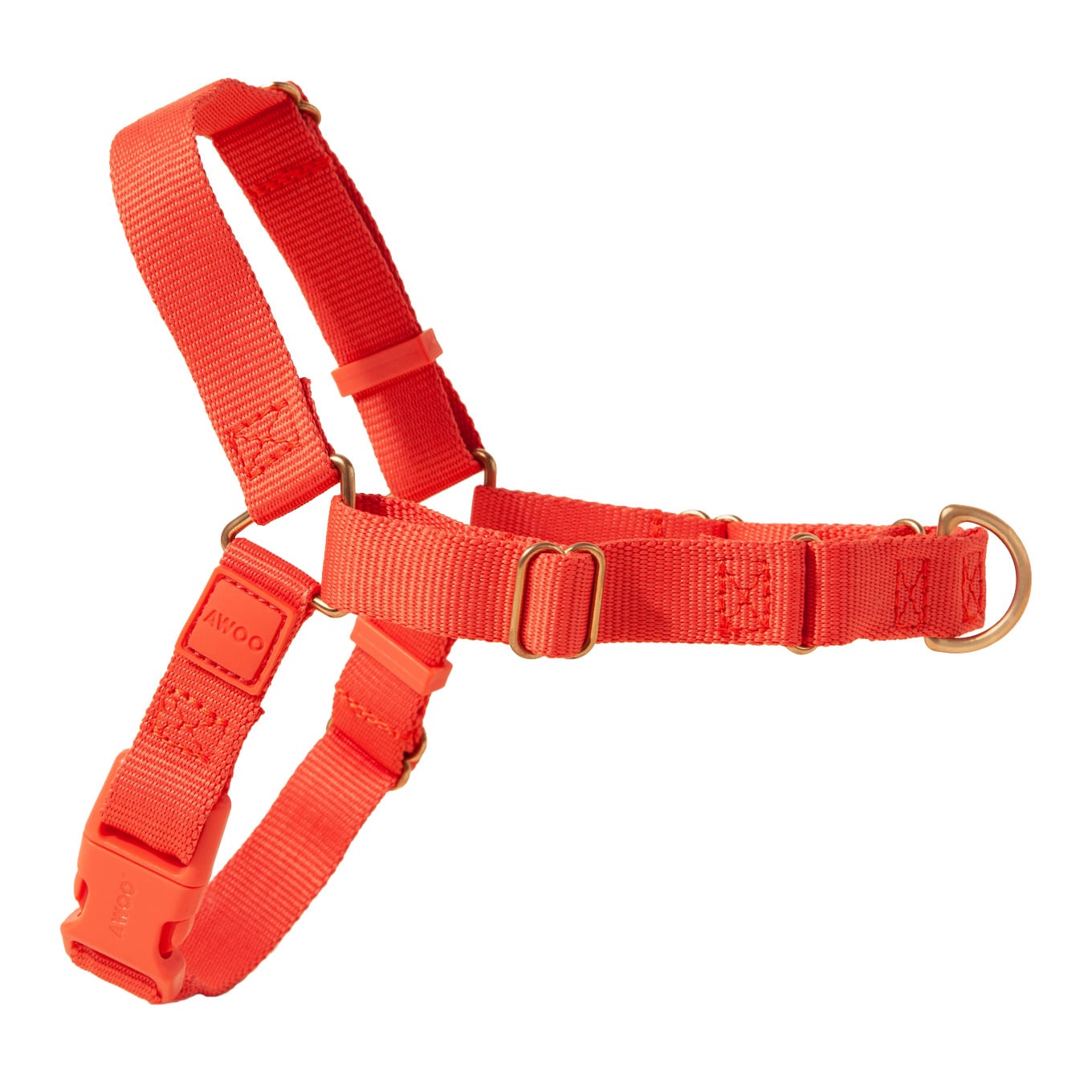 Roam Harness