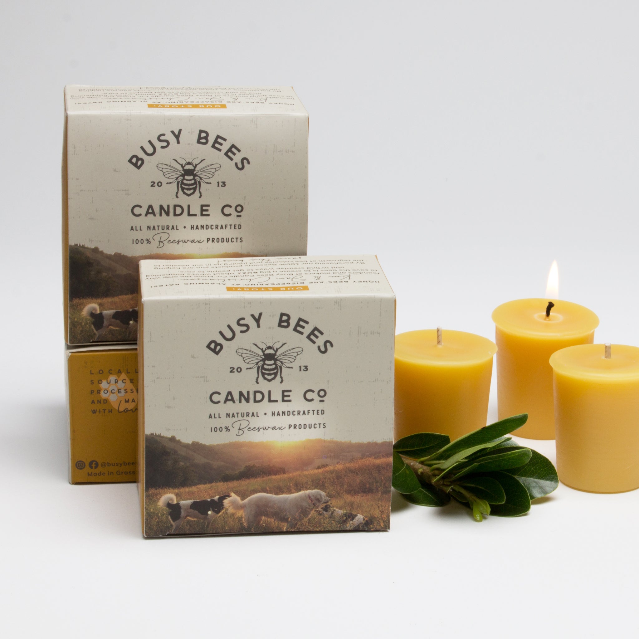Busy Bees Candle Company Votive Candles Verte Mode
