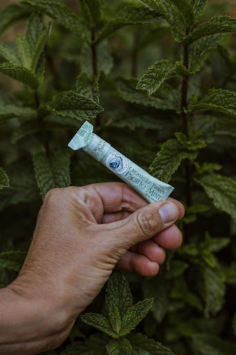 Organic Lip Therapy - Verte Mode