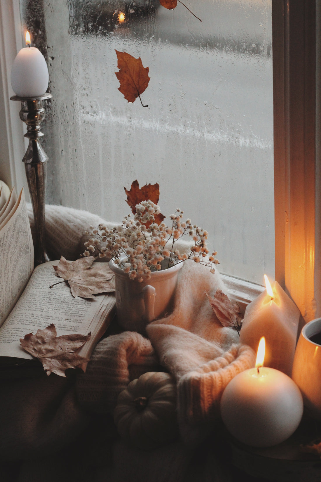 11 Must-Have Sustainable Items for a Cozy Autumn | Verte Mode