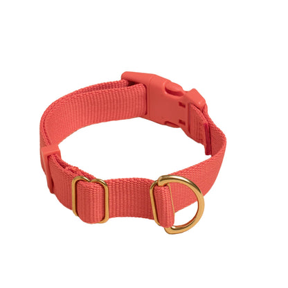 Pack Collar