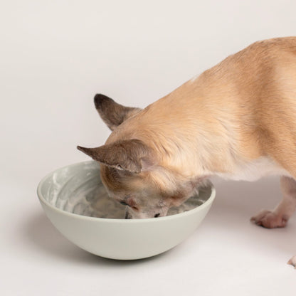 Wobbowl Lick & Slow Feeder Bowl