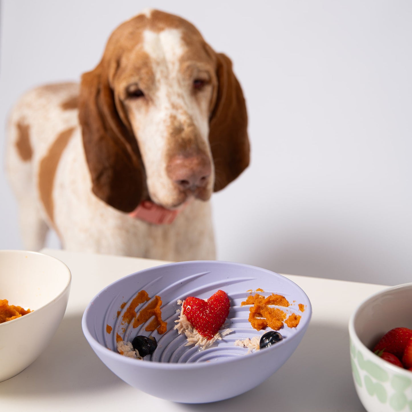 Wobbowl Lick & Slow Feeder Bowl