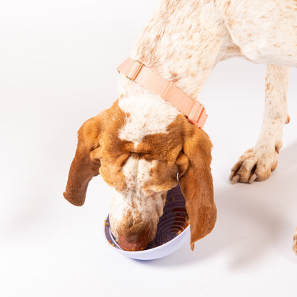 Wobbowl Lick & Slow Feeder Bowl