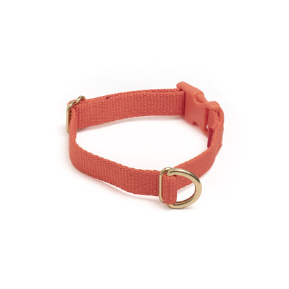 Pack Collar