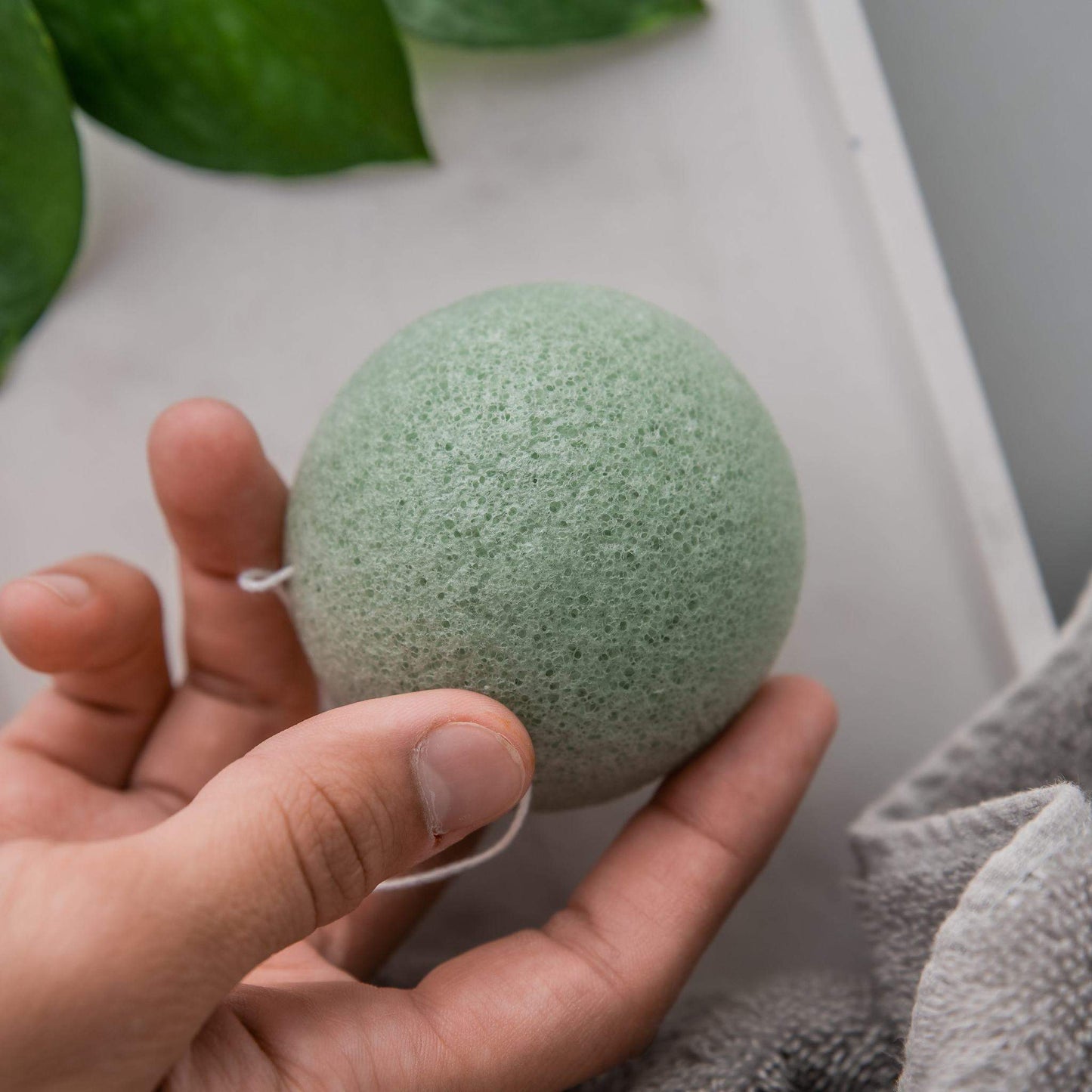 Konjac Sponge (Duo)