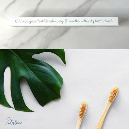 Bamboo Toothbrush Twin Pack